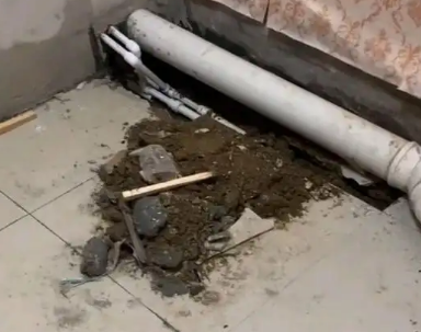 白碱滩卫生间漏水检测哪家好