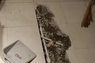 白碱滩卫生间漏水检测电话